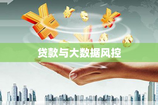 武侯贷款与大数据风控