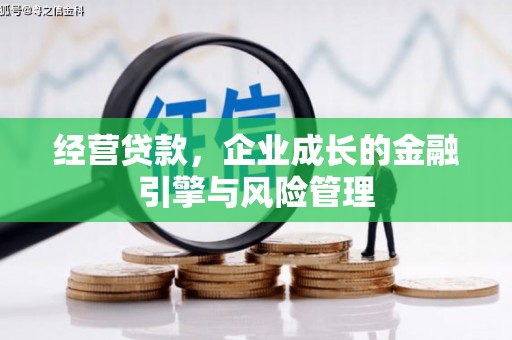武侯经营贷款，企业成长的金融引擎与风险管理