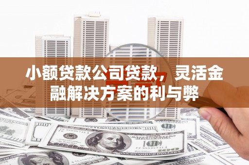 武侯小额贷款公司贷款，灵活金融解决方案的利与弊