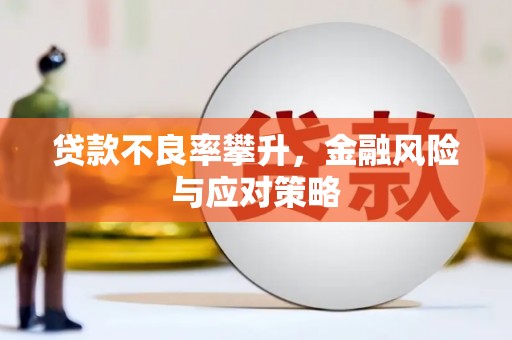 武侯贷款不良率攀升，金融风险与应对策略